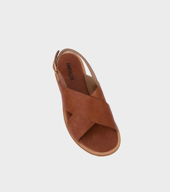 Angulus - Crossover Sandals Tan Brown