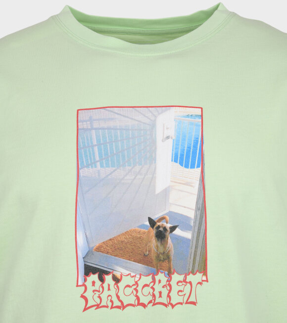 Rassvet - Dog T-shirt Light Green
