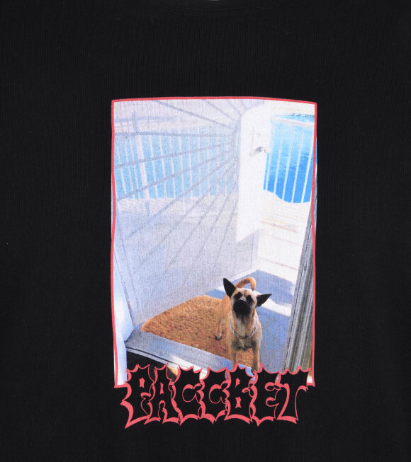 Rassvet - Dog T-shirt Black