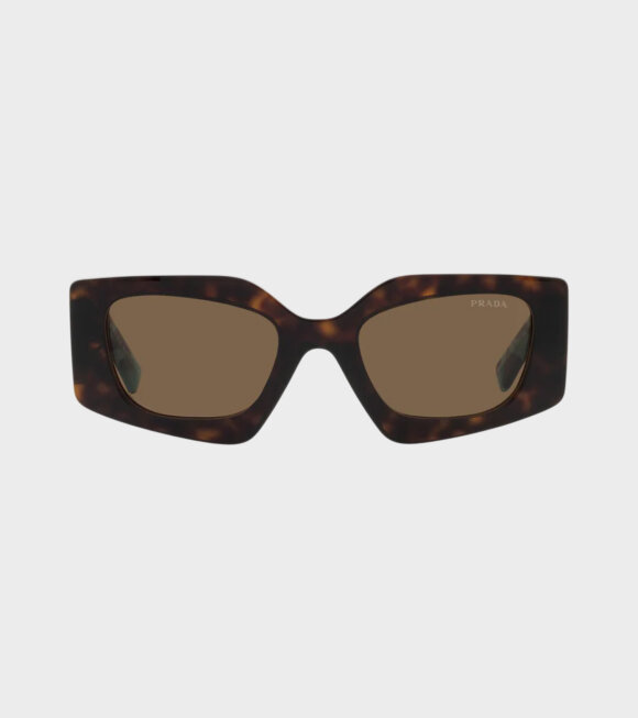 PRADA eyewear - 0PR 15YS Tortoise Dark Brown
