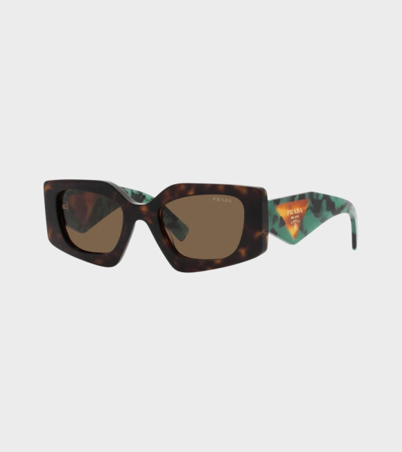 PRADA eyewear - 0PR 15YS Tortoise Dark Brown