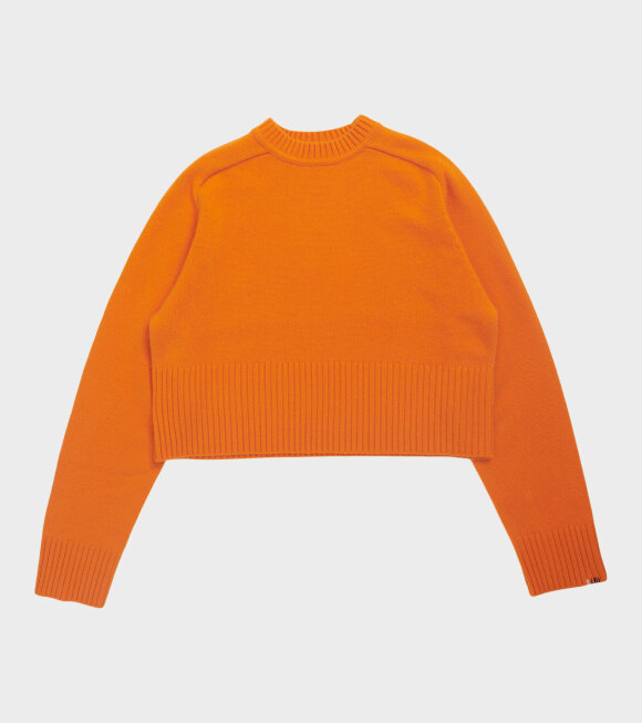Extreme Cashmere X - 256 Judith Carrot
