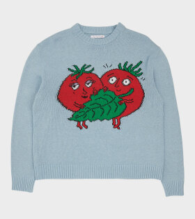 Happy Tomatoes Intarsia Knit Light Blue