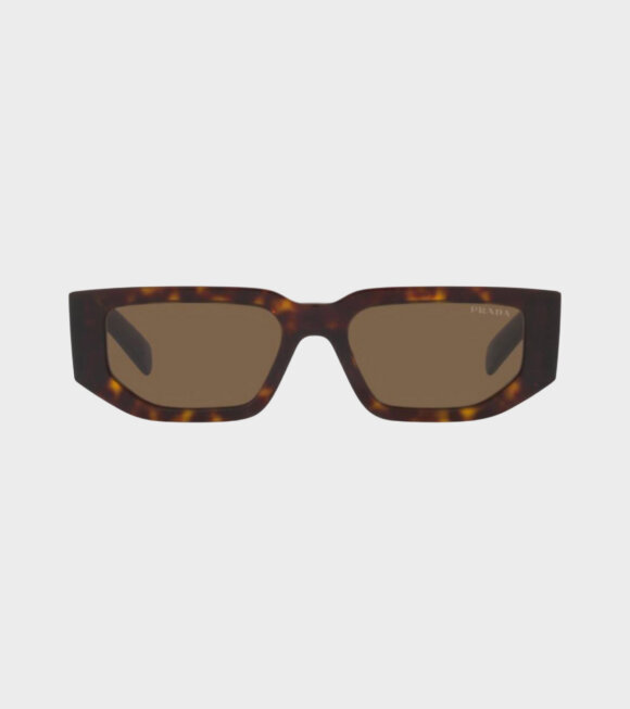 PRADA eyewear - 0PR 09ZS Tortoise Dark Brown